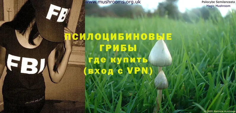 блэк спрут tor  Вольск  Галлюциногенные грибы Magic Shrooms  дарнет шоп 